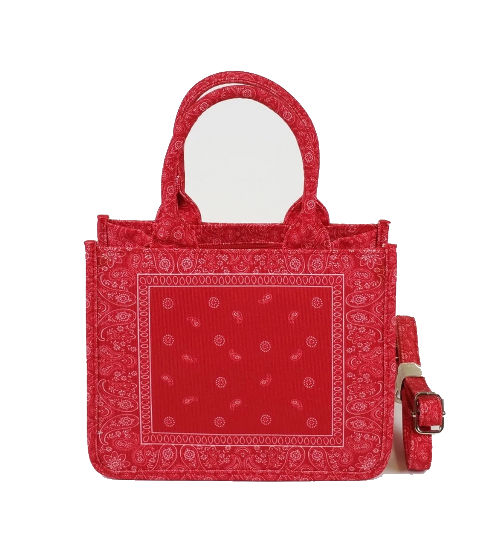 Paisura Handbag