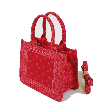 Paisura Handbag